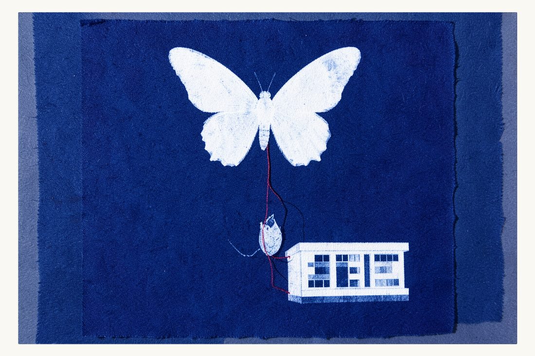 How a convertible loan becomes company capital: a butterfly with spread wings emerging from a split cocoon, tied by a red thread to an office block, cyanotype print