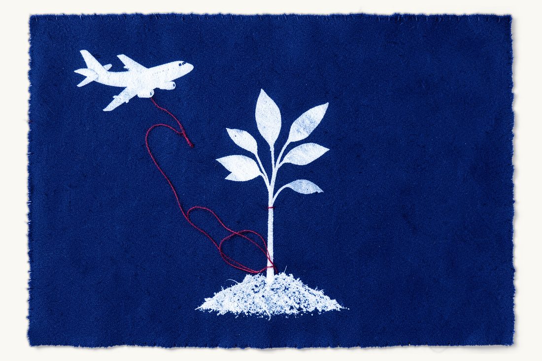 Starting a company in Turkey as a US founder: a large young sapling with a red thread looping around its stem, running down from a small passenger airplane at upper left, cyanotype print