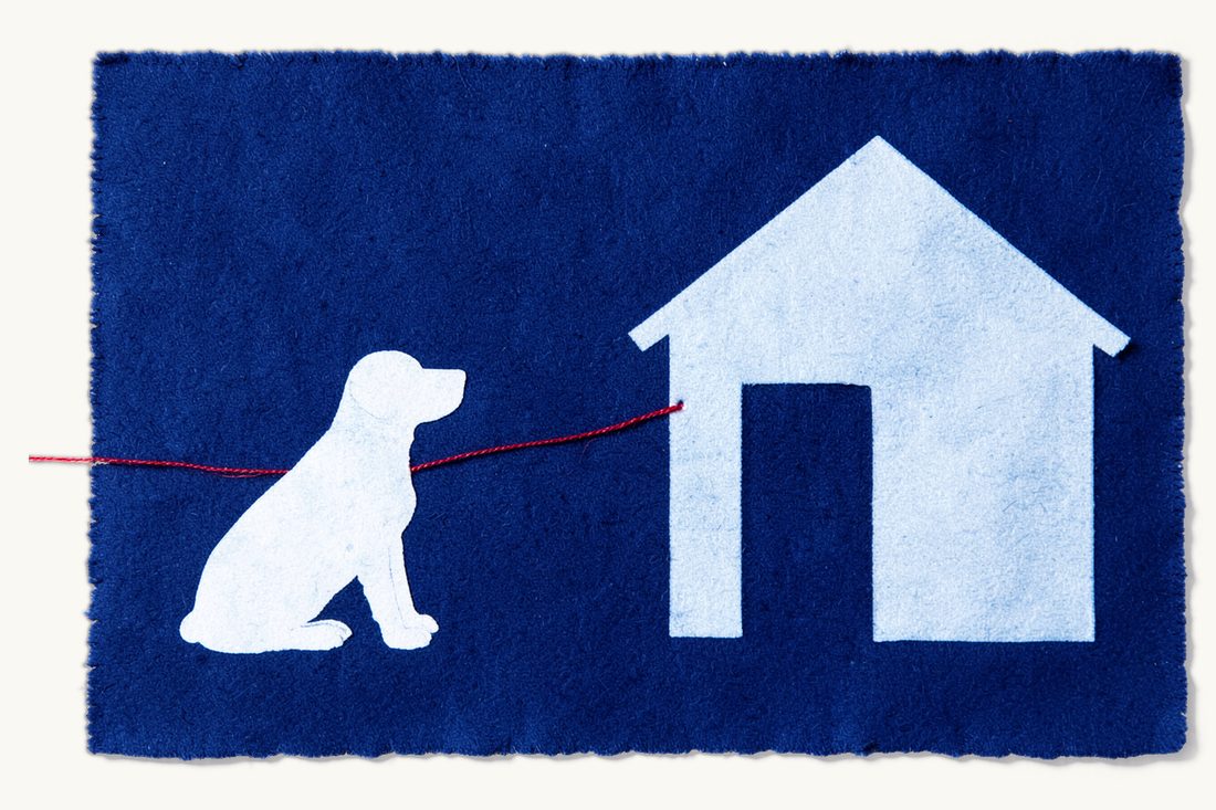 Care duties toward animals under Turkish law: a large pitched-roof house on the right, a sitting dog on the left, a red thread running in a gentle path from the dog to the doorway, cyanotype print