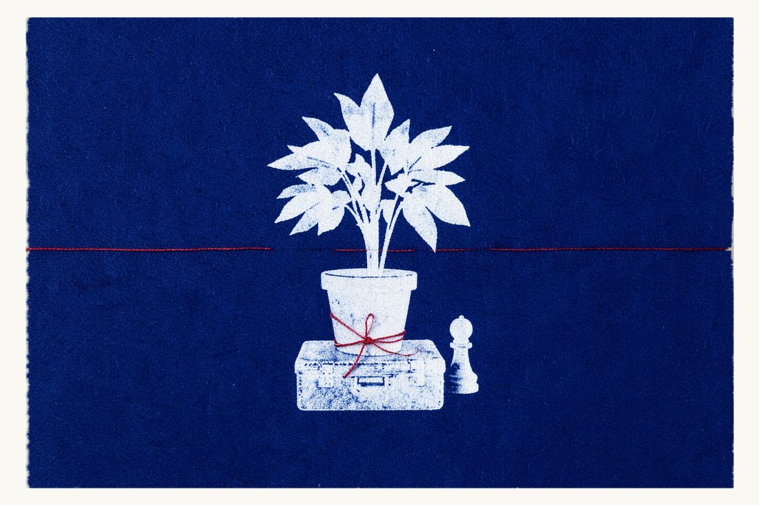 Settling in Türkiye on a residence permit: a large potted houseplant resting on a closed suitcase used as a table, a white chess pawn and a red thread around the pot, cyanotype print